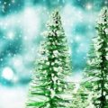 How to Teach a Christmas Lesson Adult Learners Will Never Forget