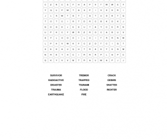 Disasters Word Search