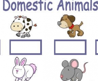 Domestic Animals and Pets Worksheet