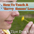 S: Savvy Senses - It"s All About Observation [Teacher Tips from A to Z]