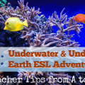 U: Underwater and Under Earth Adventures [Teacher Tips from A to Z]