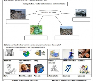 Pollution Worksheet