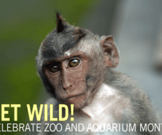 Get Wild: Celebrate Zoo and Aquarium Month