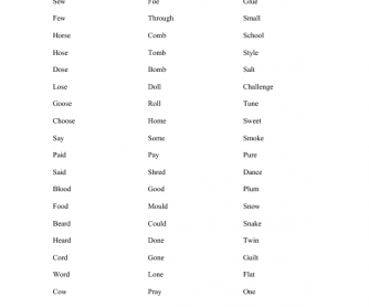 Practice for Phonetics and Phonology [Advanced Students]