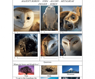 Movie Worksheet: The Legend of the Guardians
