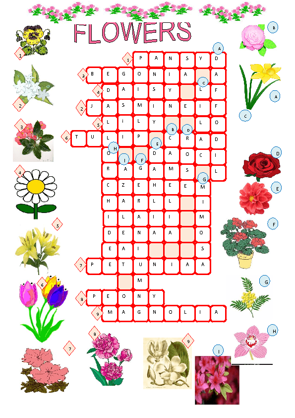 Spring Crossword Puzzle Printable Customize and Print