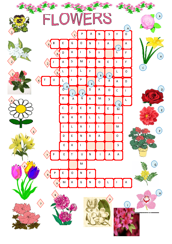 Flowers Crossword