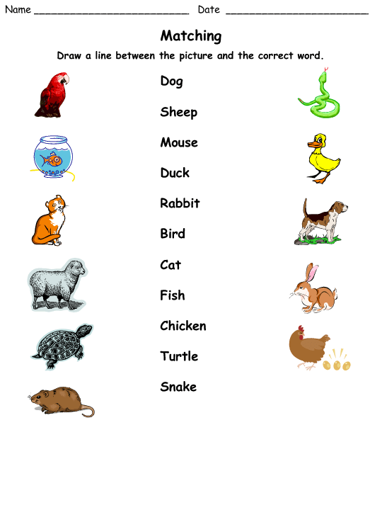 Matching Pets To Their Names