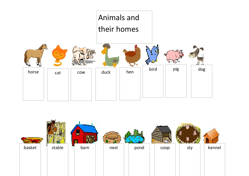 on habitats kindergarten animal worksheets Animals and Their Homes
