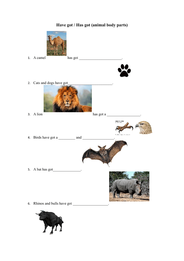 How to write lesson plans middle school