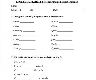 Plurals and Suffixes Worksheet