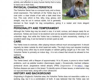 Dog Breeds