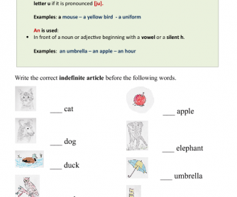 The Indefinite Articles A and An