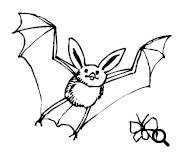Bats: Reading Worksheet
