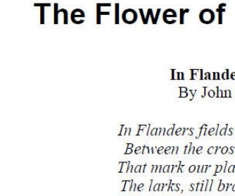 The Flower of Remebrance