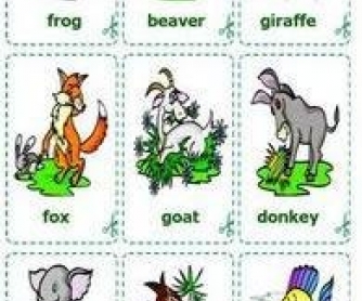 Animals Cards / Flash-cards