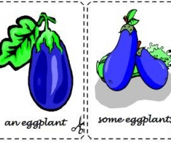 Countable and Uncountable Nouns Flashcards