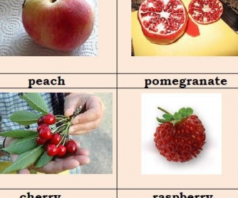 ESL Fruit Vocabulary