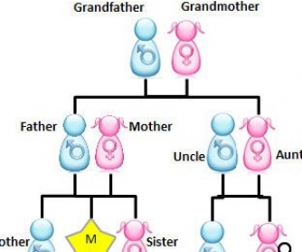 Family Tree Powerpoint