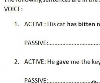 Passive Voice Worksheet [Mixed Tenses]