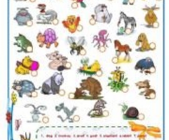 Animals Worksheet 2