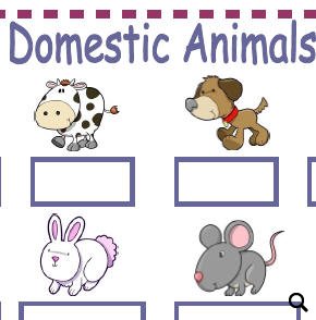 Domestic Animals and Pets Worksheet