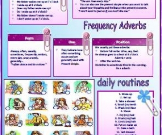 Daily Routines / Present Simple / Frequency Adverbs