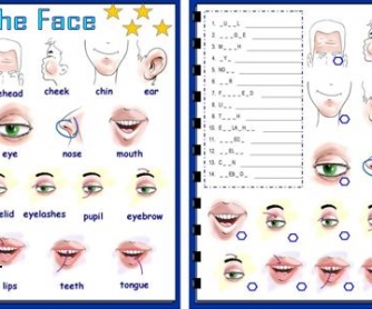 Parts Of The Face Worksheet