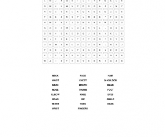 The Body: Word Search Puzzle