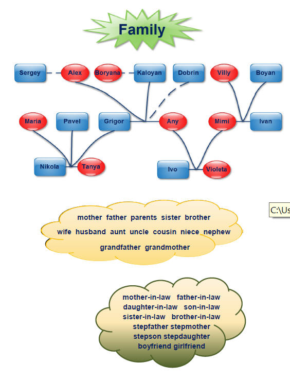 my family tree and me