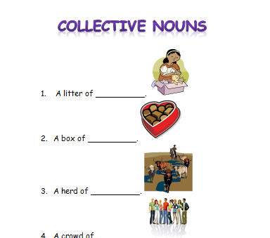 collective nouns activity