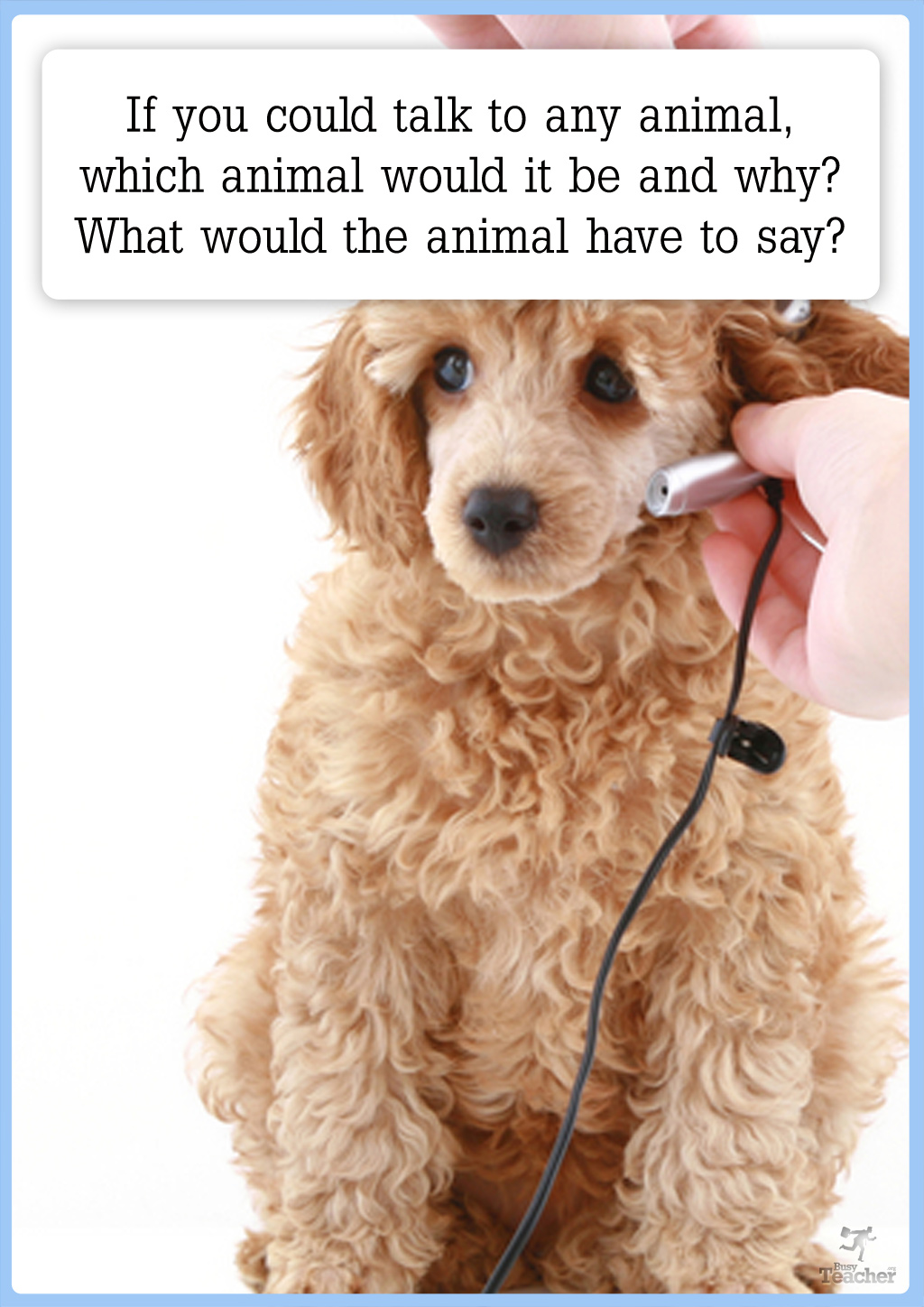 If You Could Talk To Any Animal...? [CREATIVE WRITING PROMPT]