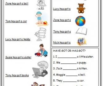 Have/has Got: Elementary Worksheet with Basic Words