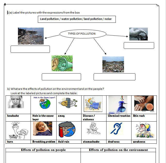 Pollution Worksheet