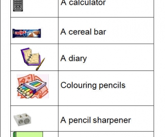 Pair Work Worksheet: Have You Got A... ?