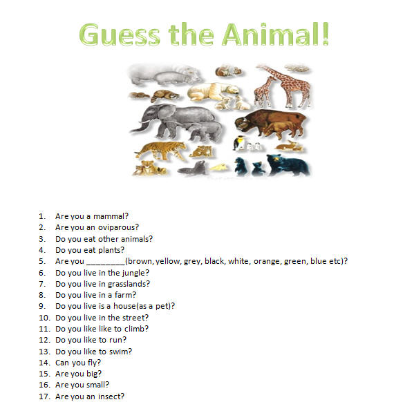 Guess The Animal Game