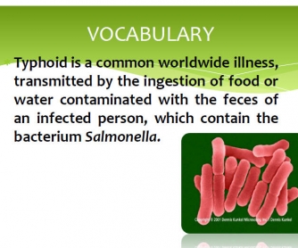 Typhoid Mary: Reading