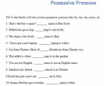 Possessive Pronouns Worksheet II