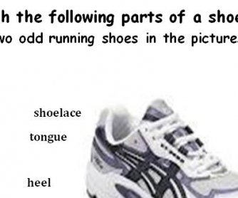 Parts of a Shoe