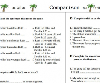 Comparison Worksheet