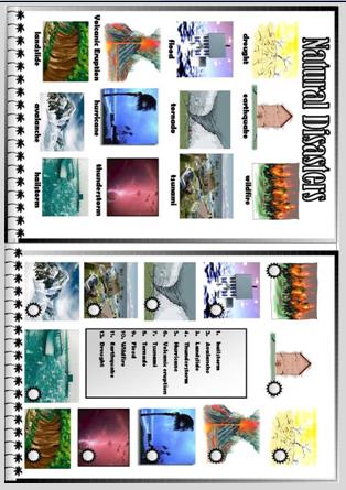 Natural Disasters Worksheet