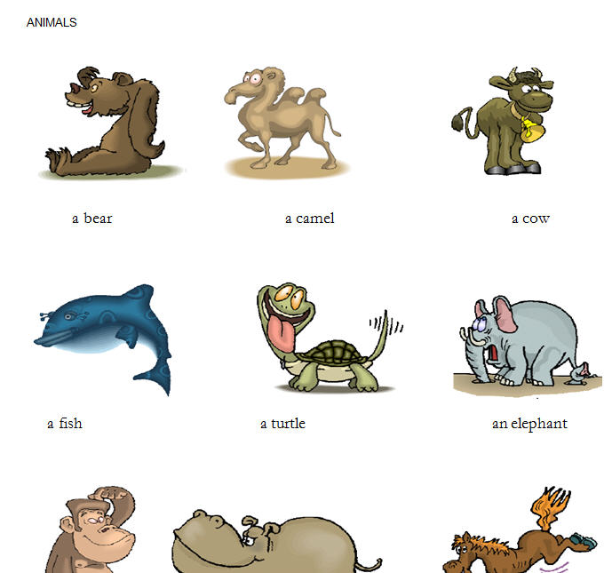 Animals: Complete Beginner Vocabulary Worksheet