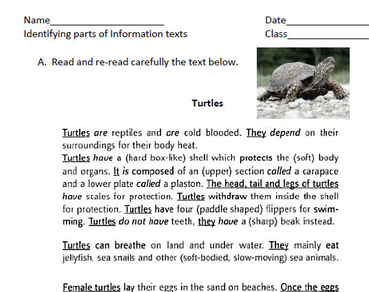 Turtles: Identifying Parts Of Information Text