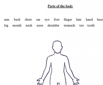 Body Parts Revision Worksheet