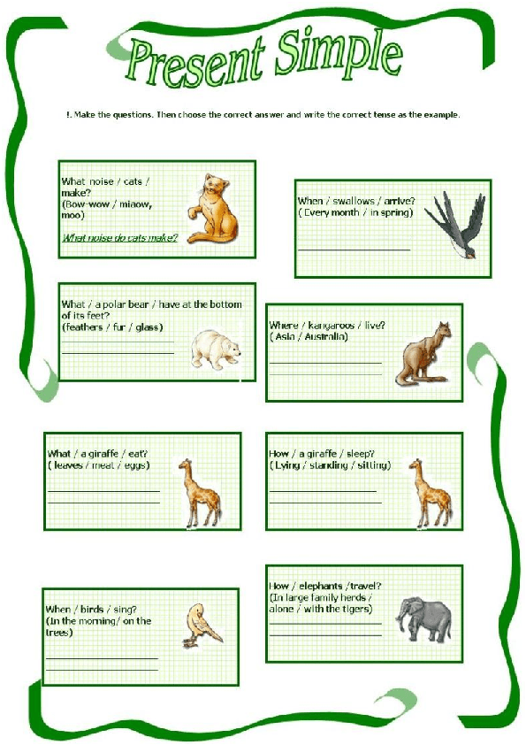 animal skat verb tenses