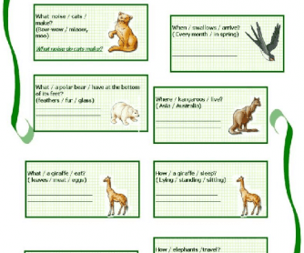 Animals and Present Simple Worksheet