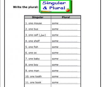 Plural Nouns Worksheet