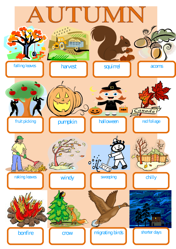 Autumn bingo printable cards