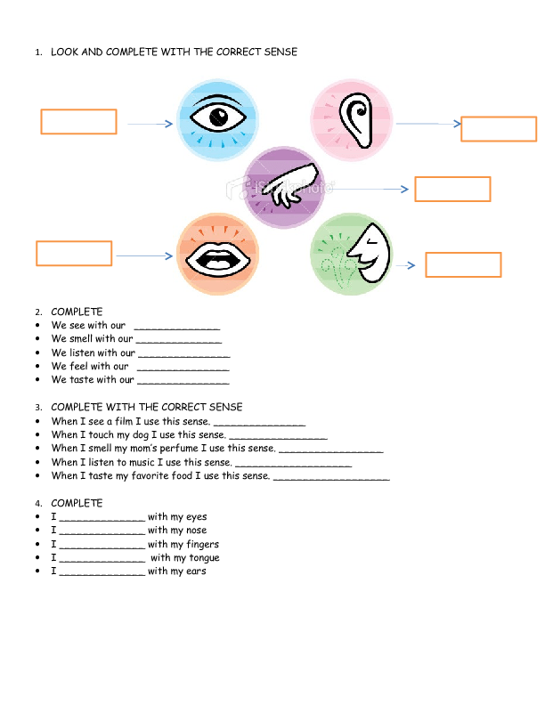 using-5-senses-in-writing-worksheet
