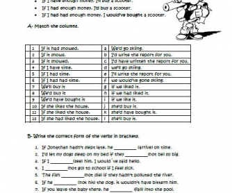 Conditionals Contrast Worksheet